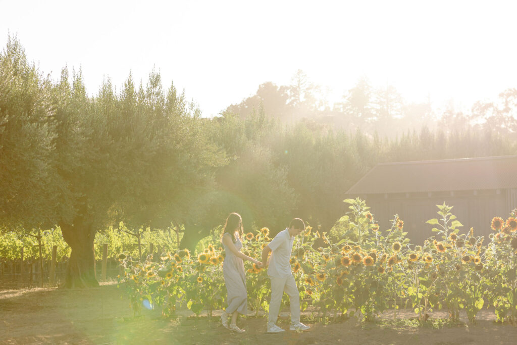 A couple walking through a sunflower field in St. Helena