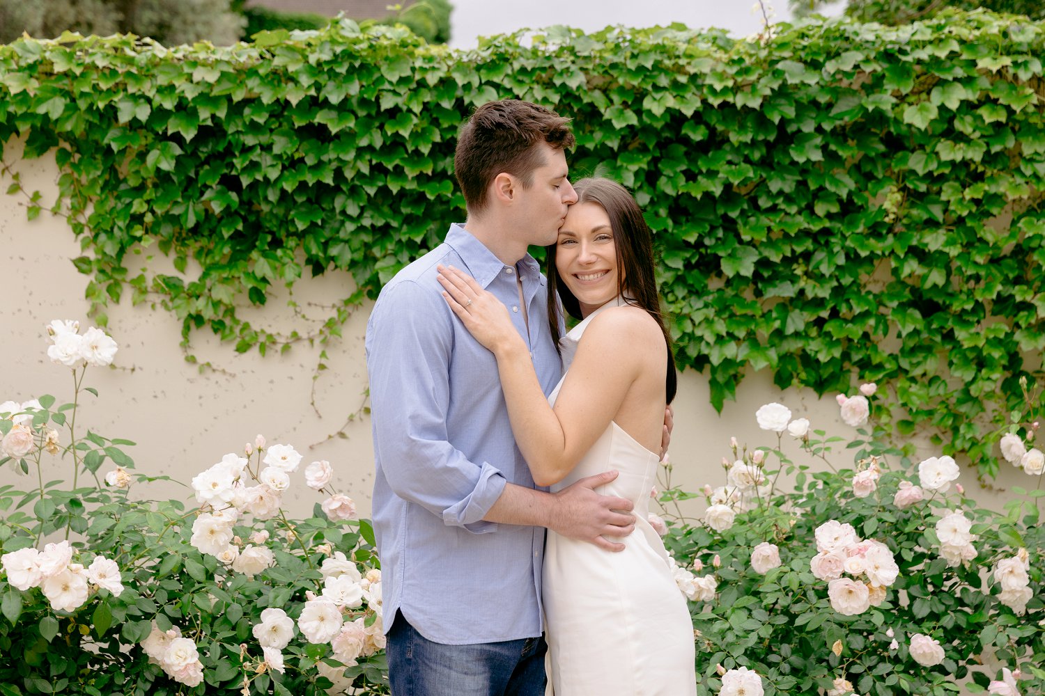 An elegant couple hugging in front of blooming white roses at a romantic Chateau St Jean Winery engagement in California.